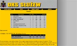 Sports Team Site